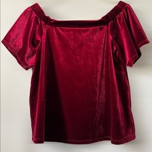 Velvet blouse